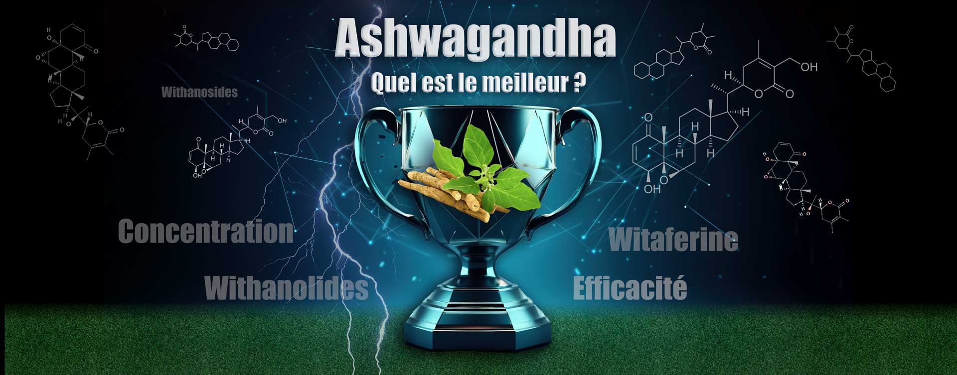 Quel est vraiment le meilleur extrait d’Ashwagandha ?